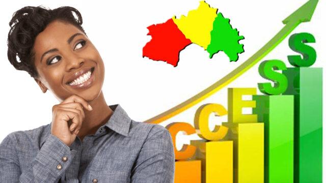 Les 5 business les plus rentables en Guinée